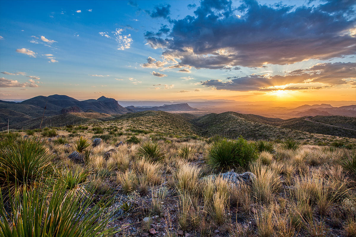 Planning Your Summer Trip to Big Bend: Tips & Tricks