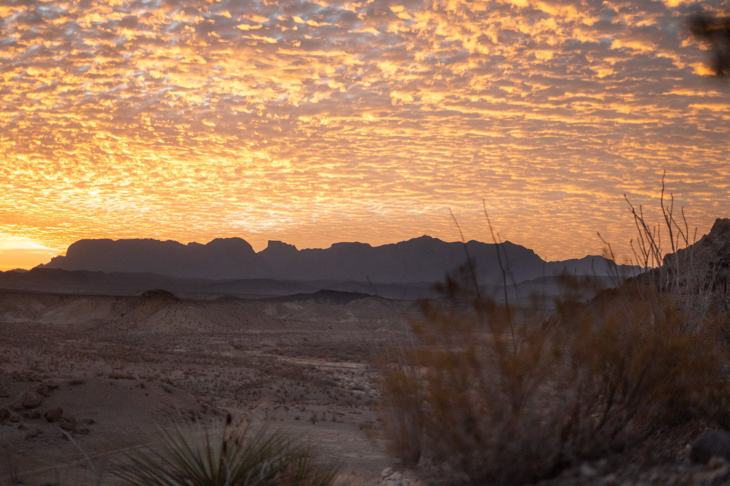 Why Summer May be the Best Time to Visit Big Bend