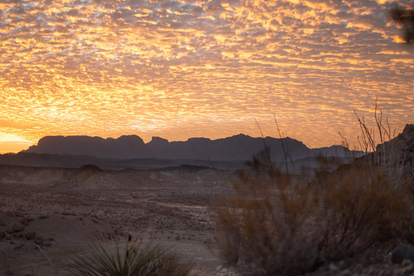 Why Summer May be the Best Time to Visit Big Bend