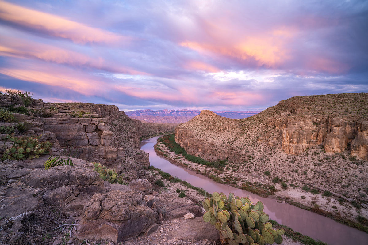 Mule Ears Viewpoint