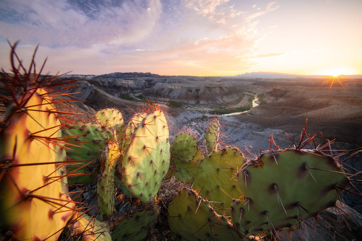 A Jeep in front of the Chisos at Sunset